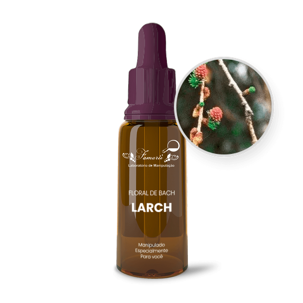 Floral de Bach Larch