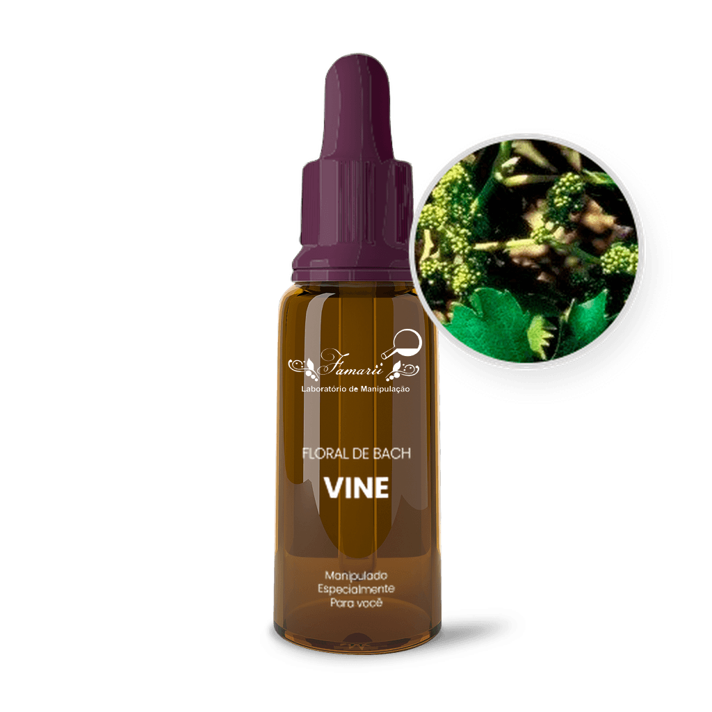 Floral de Bach Vine